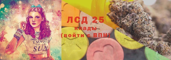СК Липки