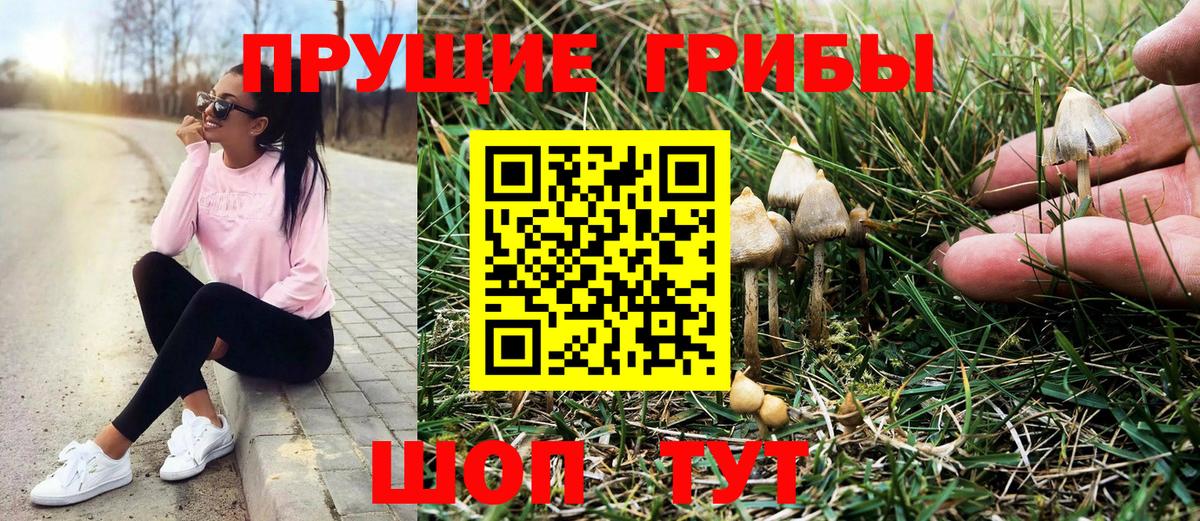 Галлюциногенные грибы GOLDEN TEACHER  Вход с VPN  Керчь 